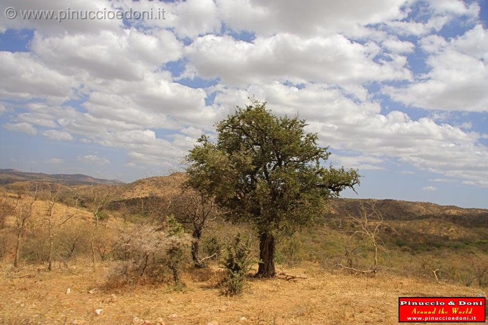 Ethiopia - Ritorno verso Turni - 5.jpg